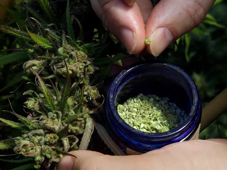 Are CBD Cigarettes Legal in the UK?