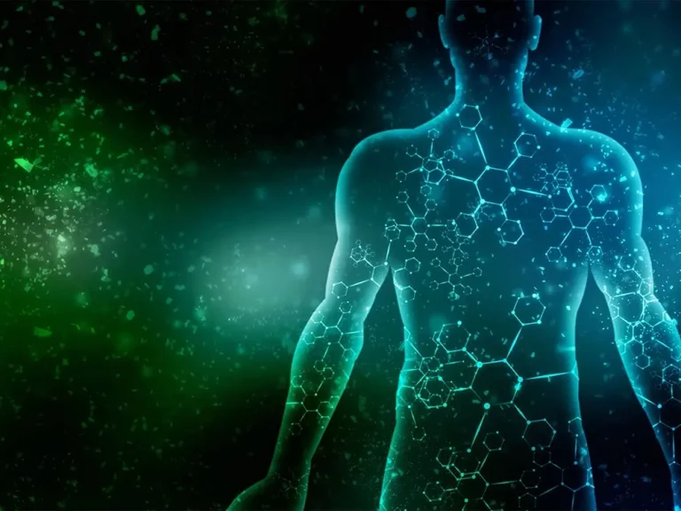 How Long Does CBD Stay in Your System?