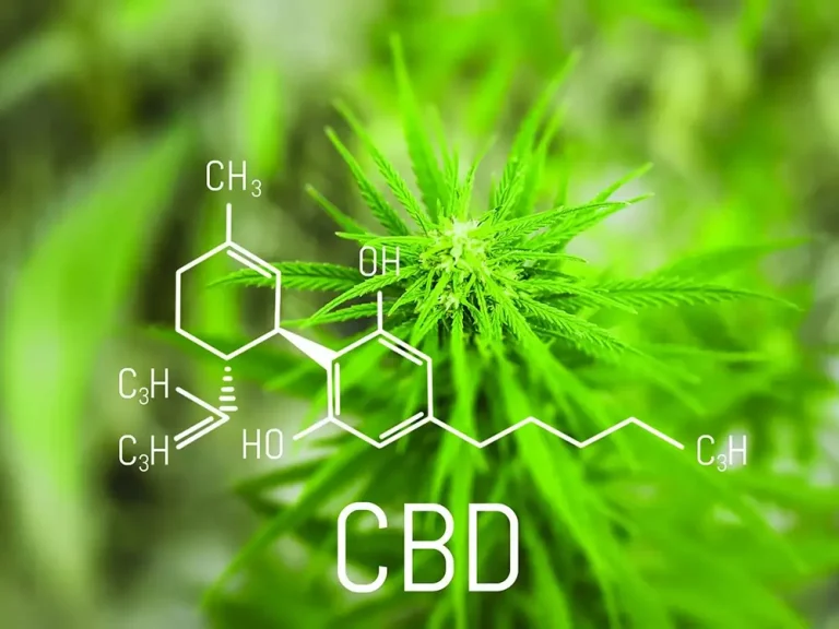 CBD and Your Body: How It Works and Why It Matters