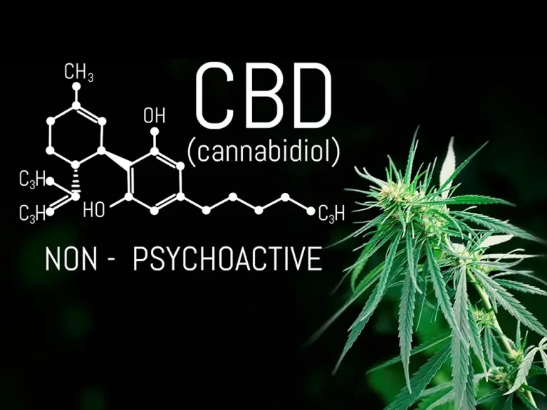 CBD: The Natural Compound Changing Health & Wellness